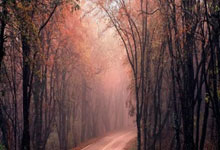 亚马尔在造乌龙后和主裁判打趣：能不能算我进的.