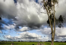 奇异果体育:中超|泰山国脚仅王大雷首发,外援马德鲁加仍为替补.