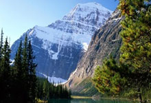 俱乐部国家队0出场，却赚到3600万：国足归化史上“第一大坑”非他莫属.